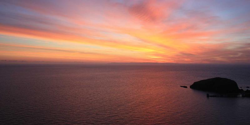 Air Jordan 16：当篮球传奇遇上街头潮流，一双鞋如何定义时代