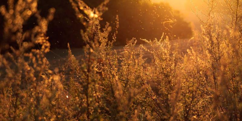 Air Jordan 48：限量发售如何重新定义运动鞋潮流文化