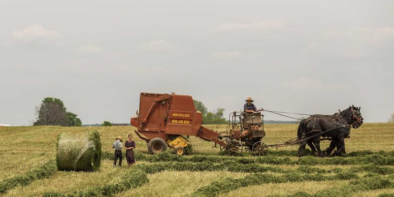 Air Jordan 91：跨越时代的传奇运动鞋，如何定义篮球鞋文化新高度？
