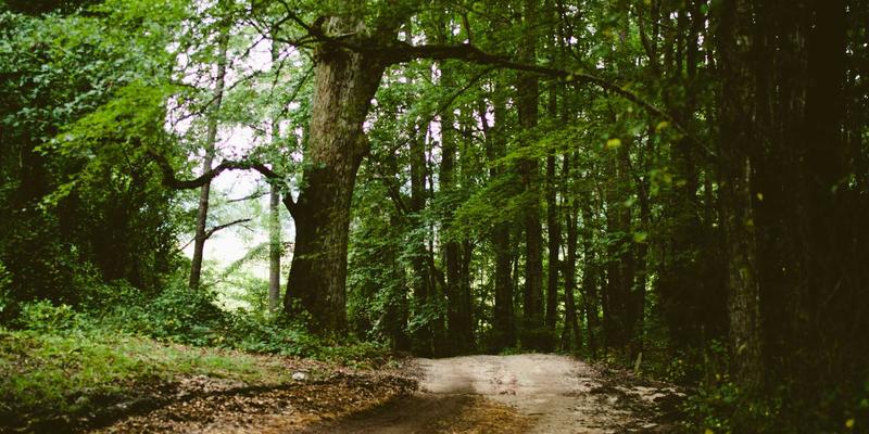 Air Jordan 98:被遗忘的传奇,还是潮流限量的终极密码?