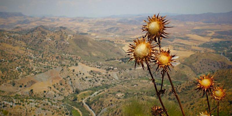 Air Jordan中古与Archive文化：探寻稀有配色与样本鞋的收藏价值与潮流密码