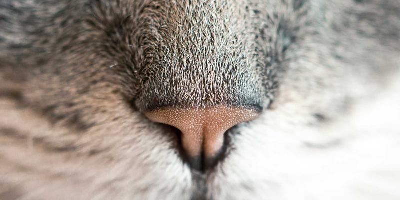 Air Jordan复古风潮强势回归：为何Vintage风格穿搭的灵魂离不开AJ球鞋