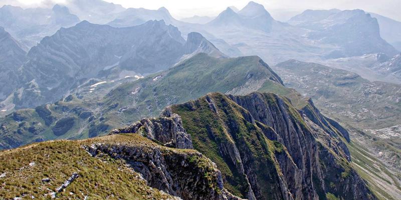 Air Jordan球鞋保养与修复终极指南：守护复刻经典，传承球鞋文化