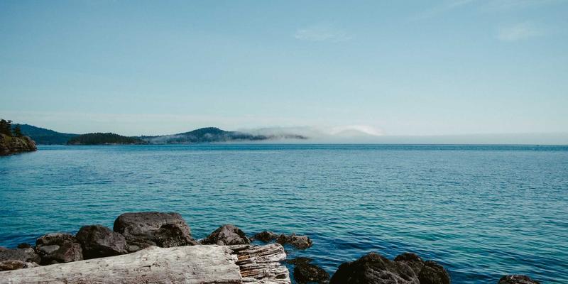 从Air Sole到ZoomX：Air Jordan中底科技全解析，如何影响实战脚感与耐久性