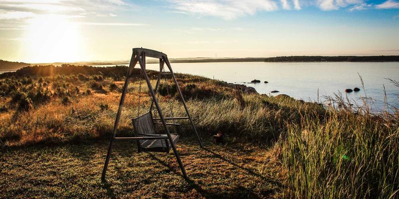 从入门到收藏：Air Jordan篮球鞋选购与保养终极指南