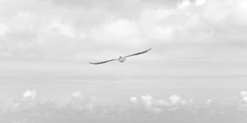 从复刻到专属：Air Jordan女码篮球鞋如何推动女性球鞋文化崛起