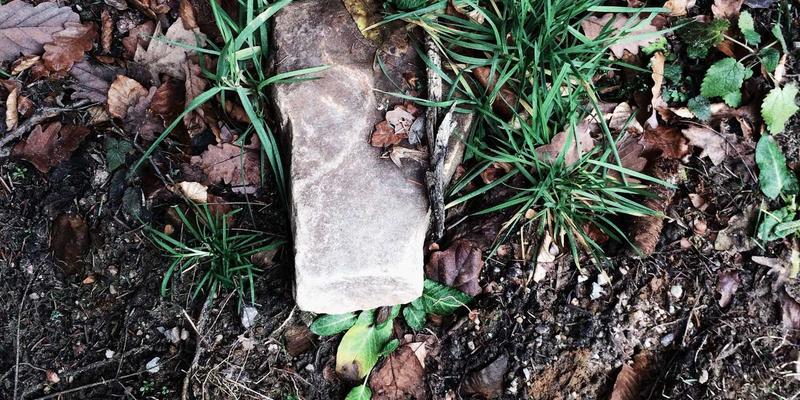 从球场到街头：Air Jordan如何通过设计与营销策略转变，征服女性运动鞋市场