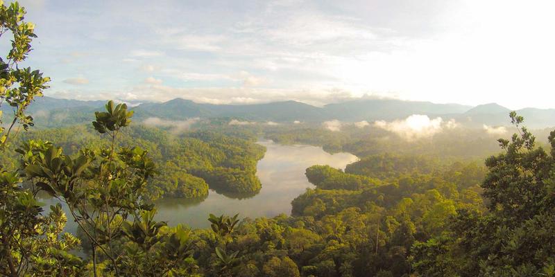 从球场到街头:Air Jordan如何重塑球鞋文化与复刻传奇